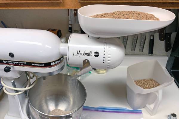 Gochujang making process. Milling wheat malt with food processor.