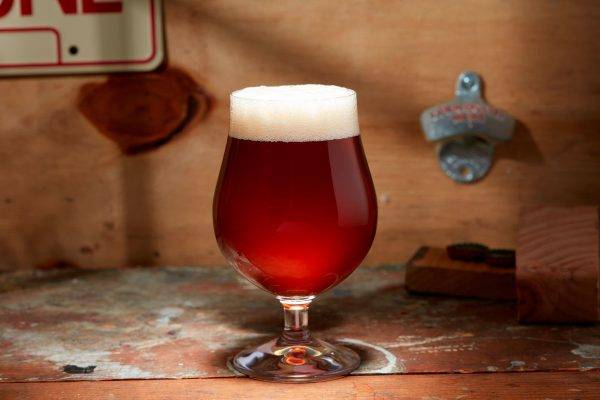 red amber ale in tulip glass