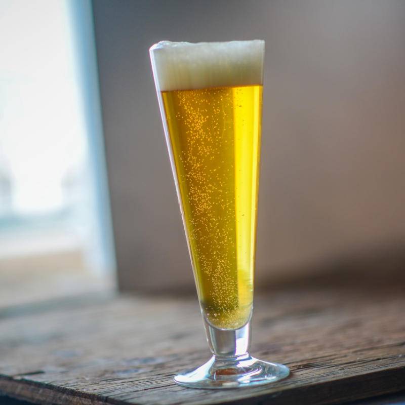 effervescent lager in a glass