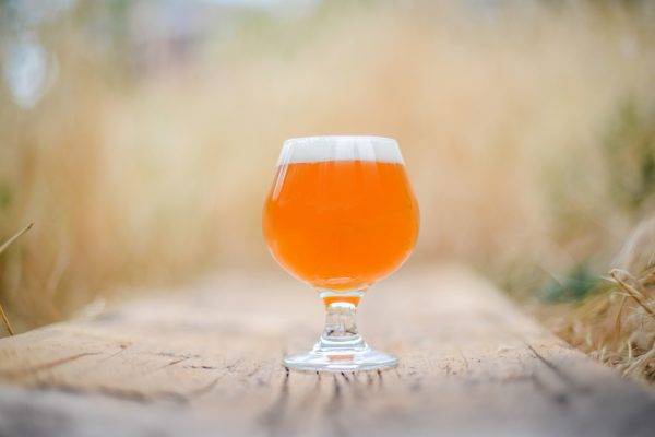 sour-ale-recipe