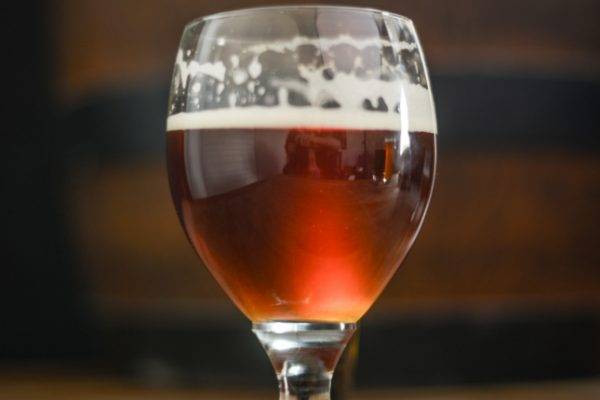 sour beer recipe